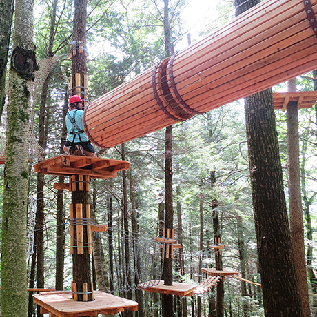 A New Forest Adventure Park Is Open in Massachusetts