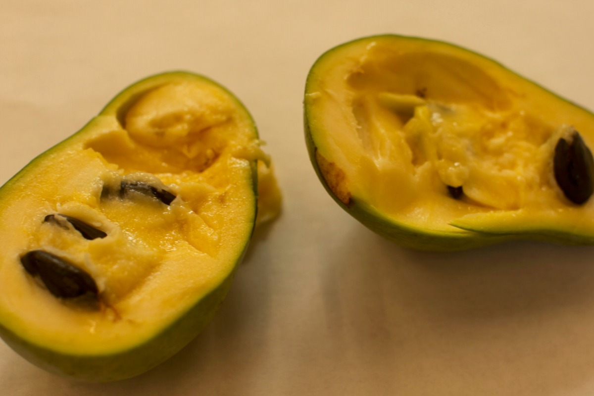 Secrets fruit. Paw Paw фрукт. Paw Paw Fruit. Paw Fruit.