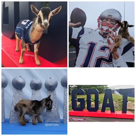 Time Lapse: When the GOAT Tom Brady was a kid