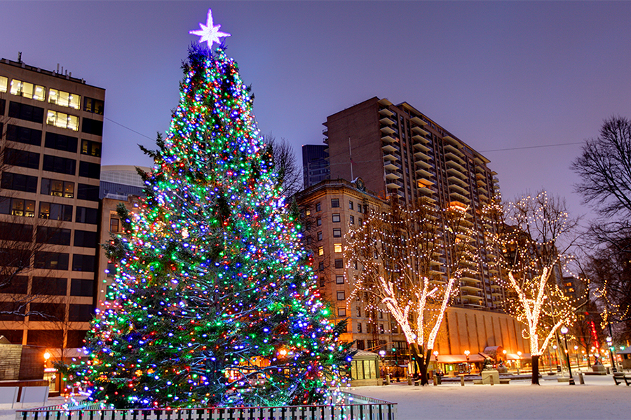 Boston Common Christmas Lights