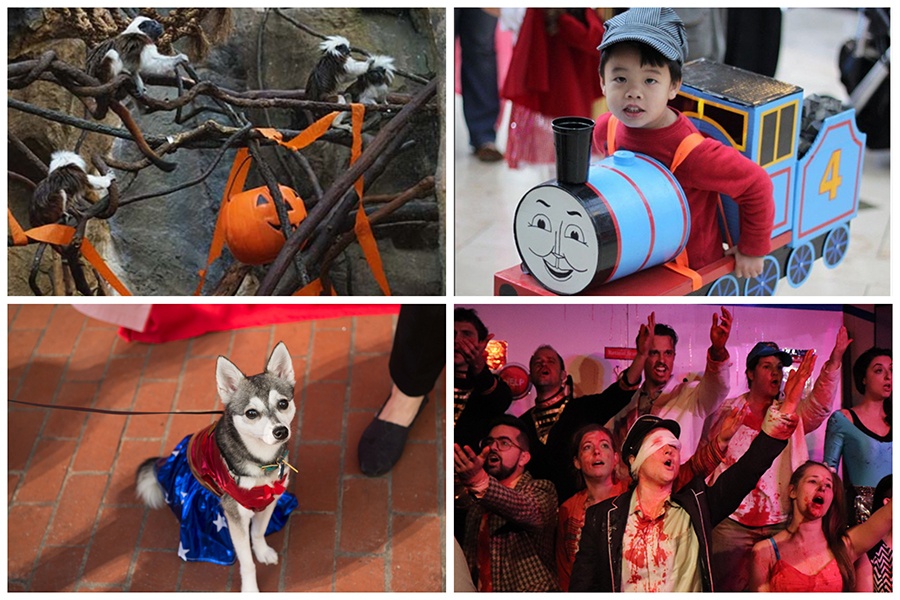  Halloween News Articles Stories Trends for Today