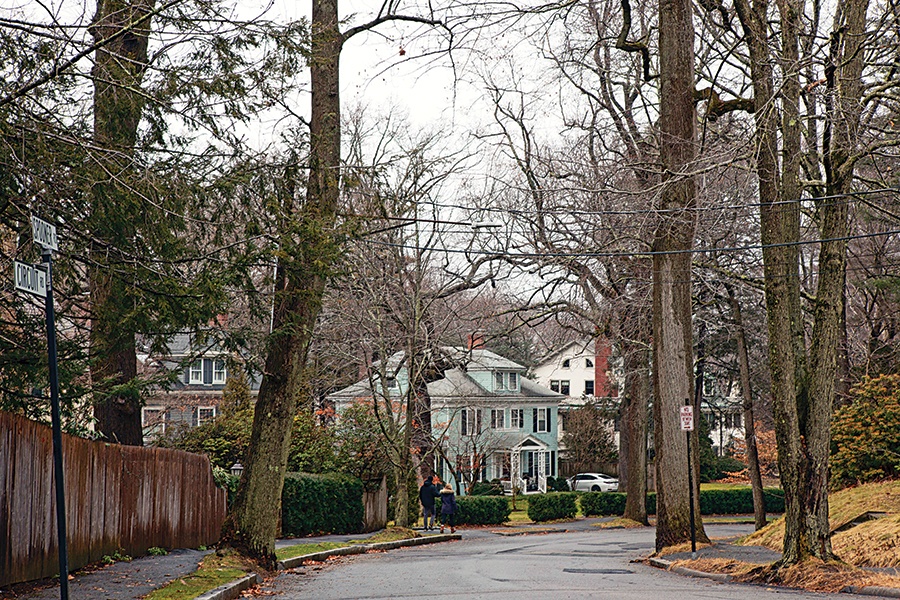 Chestnut Hill Real Estate, Neighborhood Guide